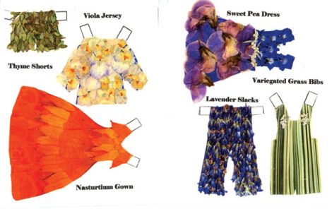 What the Fairy Best are Wearing This Season Image